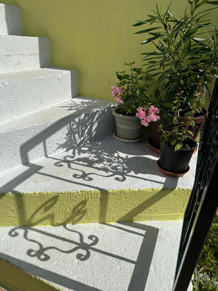 Apartments Bilic Vis Exterior photo